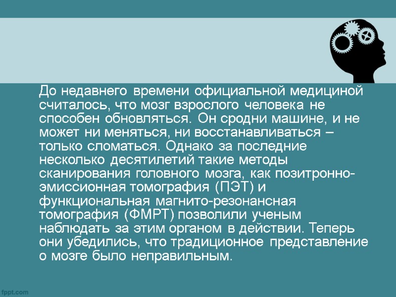 До недавнего времени официальной медициной считалось, что мозг взрослого человека не способен обновляться. Он
